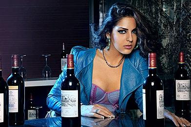 《怪物猎人崛起：曙光》套装展示 冰狼龙、刚缠兽装备