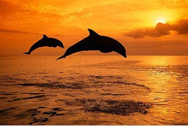 《8-Colors Star Guardians +》steam发售 女子战队RPG