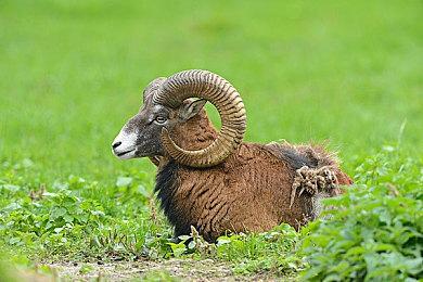 Gunfire Games《遗迹2》“亚沙世界”预告片分享